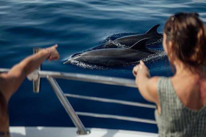 Lana'i Snorkel And Dolphin Quest with Maui Turtle Spot Tour - The Food and Refreshments: A Local Touch
