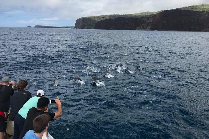 Lanai Snorkel and Dolphin Watch from Maalaea - Why This Tour Offers Good Value