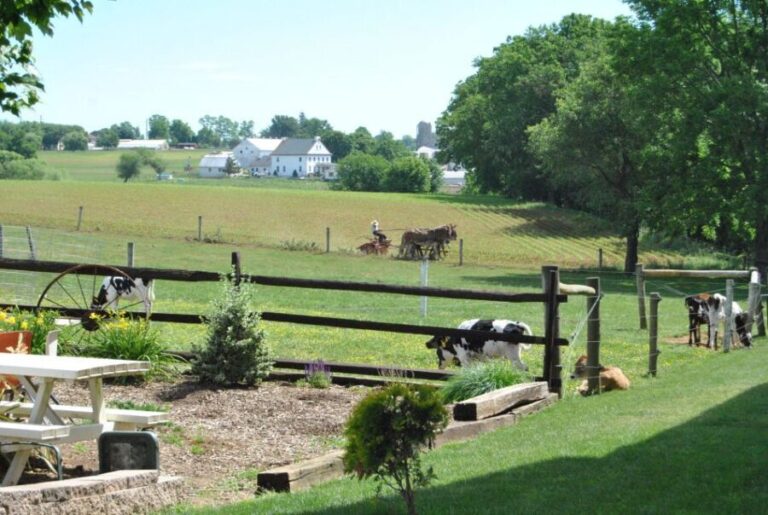 Lancaster: Amish Experience Visit-in-Person Tour of 3 Farms - What Past Travelers Say