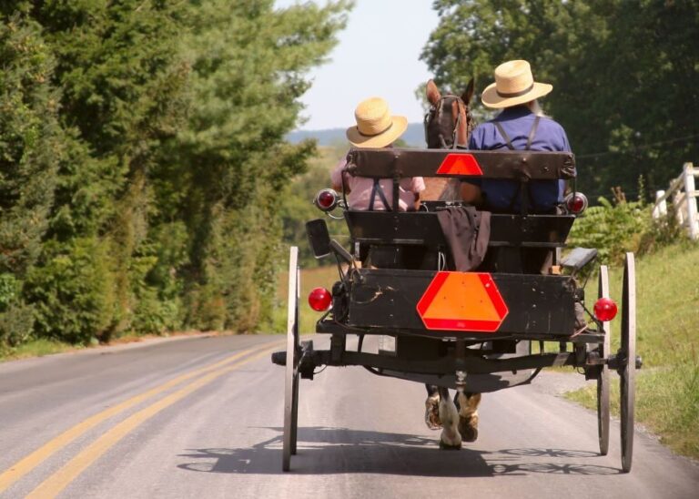 Lancaster County: Amish Farmlands, Museum Tour, Farm Visit - The House Tour: Step Inside Amish Life