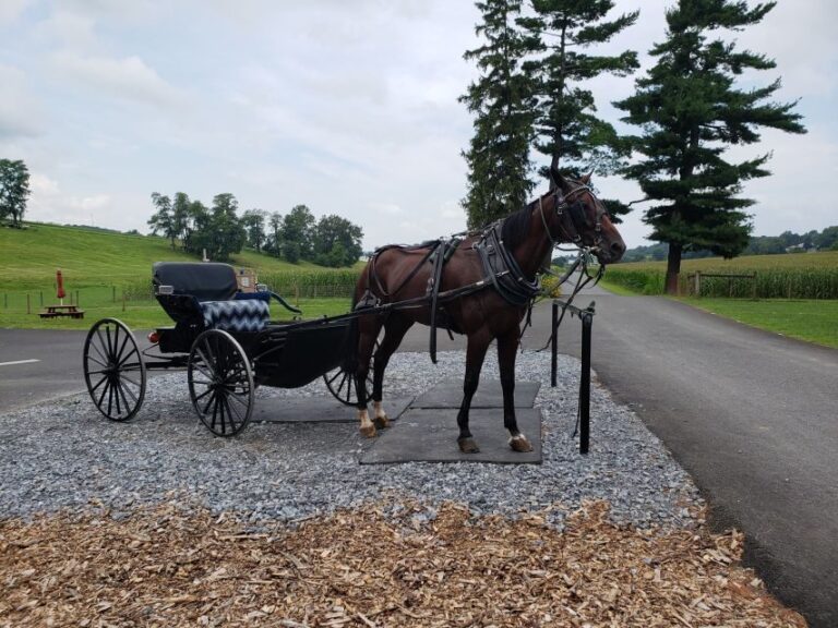 Lancaster: Downtown & Amish Country Authentic Lancaster Tour - The Value of This Tour