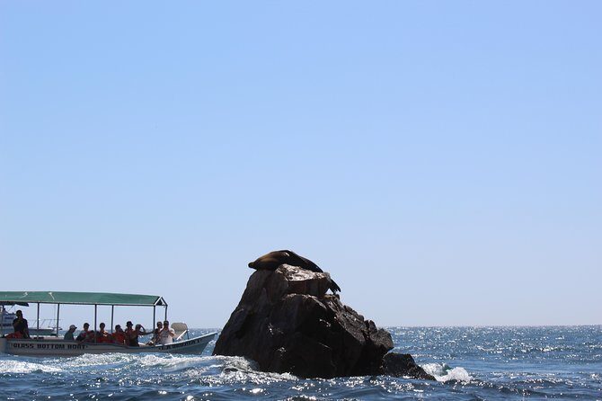 Land's End & Snorkel Tour in a Glass Bottom Boat (VisitA Cabo) - The Itinerary in Detail