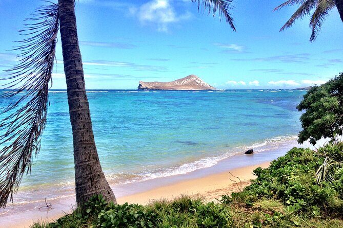 Lanikai to Mokulua islands Stand Up Paddle Board Tour - The Practical Details