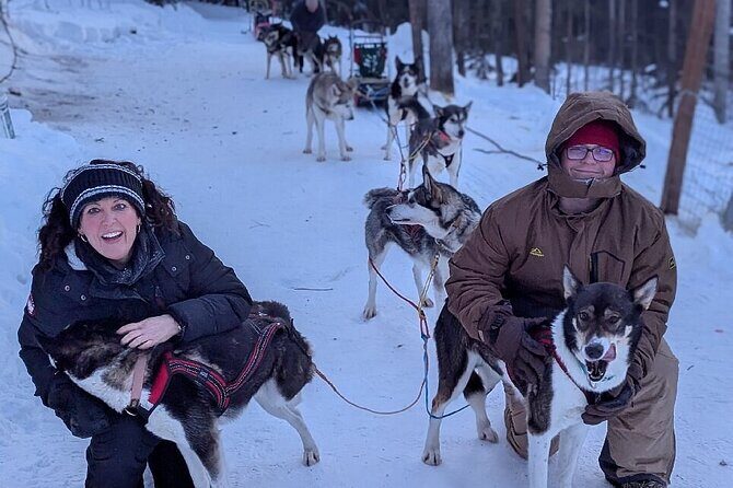 Large Groups for Mushing Activity - An In-Depth Look at the Fairbanks Mushing Experience