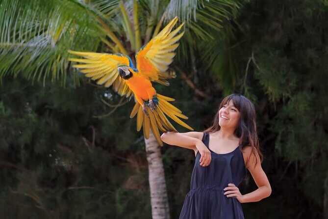 Las Caletas The Best Kept Secret of Puerto Vallarta - What Travelers Say
