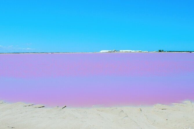 Las Coloradas Amazing Pink Lake & Rio Lagartos from Tulum - Authenticity and Value