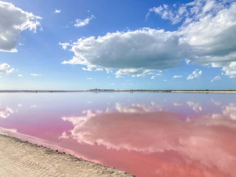 Las Coloradas and Ría Lagartos - Key Points