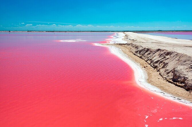 Las Coloradas and Rio Lagartos Tour with All Inclusive - What We Appreciate About This Tour