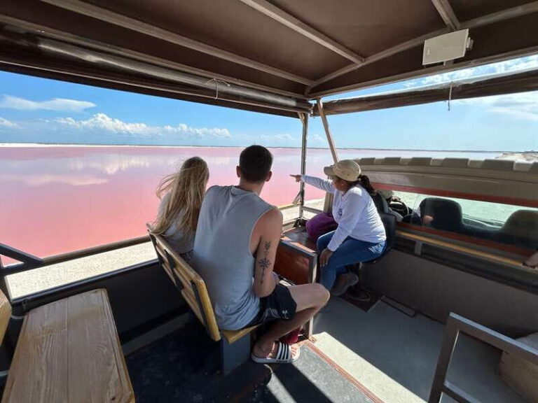 Las Coloradas: Pink Lakes Safari Tour - The Itinerary Breakdown