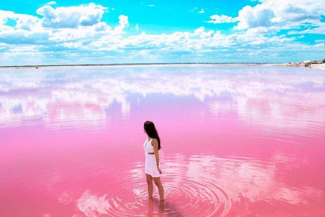 Las Coloradas Private Tour - The Sum Up: Is It Worth It?