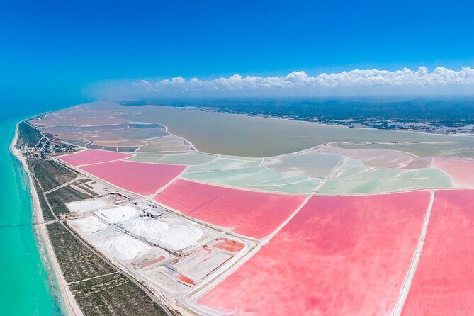 Las Coloradas, Río Lagartos and Playa Cancunito Tour from Mérida - What Makes This Tour Stand Out?