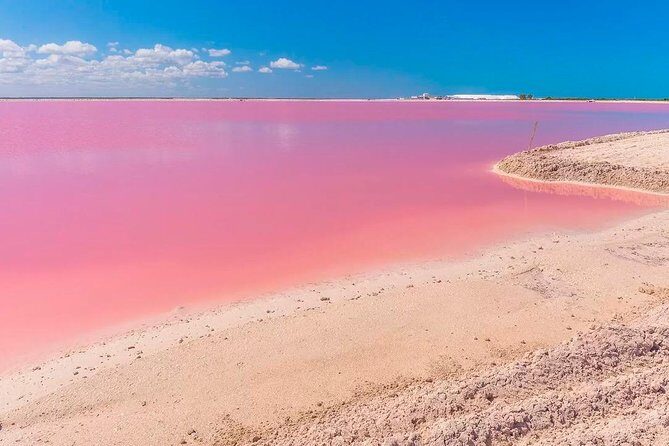 Las Coloradas & Rio Lagartos, Beautiful Eco Adventure from Tulum City - Who Will Love This Tour?