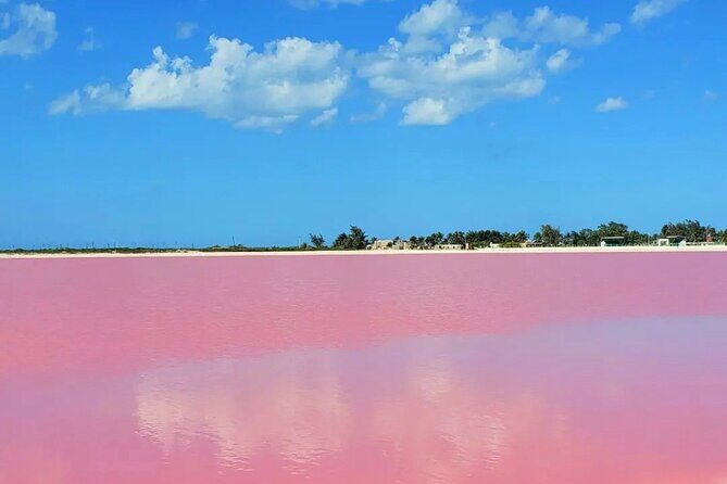 Las Coloradas & Río Lagartos with boat & Lunch from Mérida - The Value of This Tour