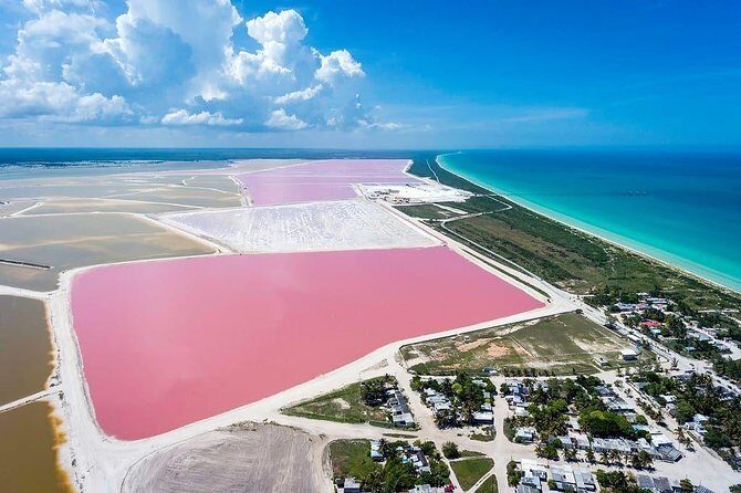 Las Coloradas Tour! Boat Ride, Lunch & Rio Lagartos from Cancun - FAQ