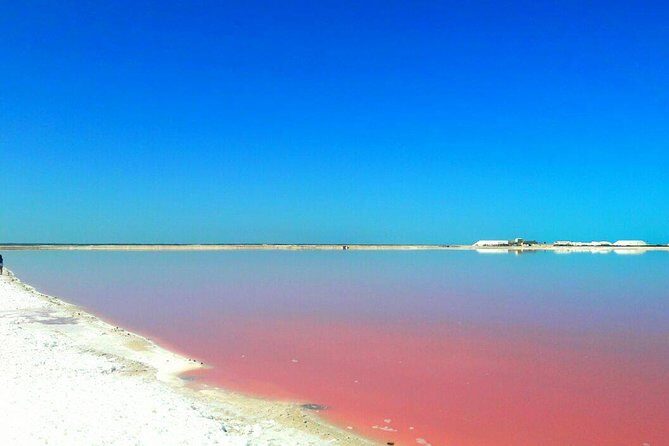 Las Coloradas Tour from Cancun and Playa del Carmen - What People Are Saying