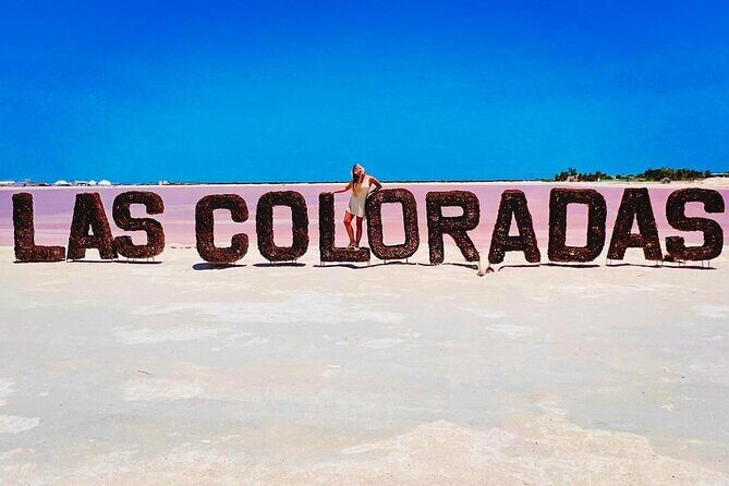 Las Coloradas Tour to Pink Lakes and Wildlife Wonders - Practical Details and What You Need to Know