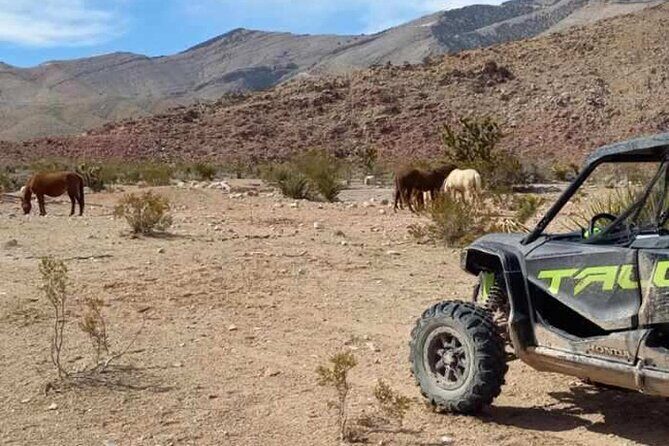 Las Vegas ATV/ RZR Off Road Adventure - Who Will Love This Tour?