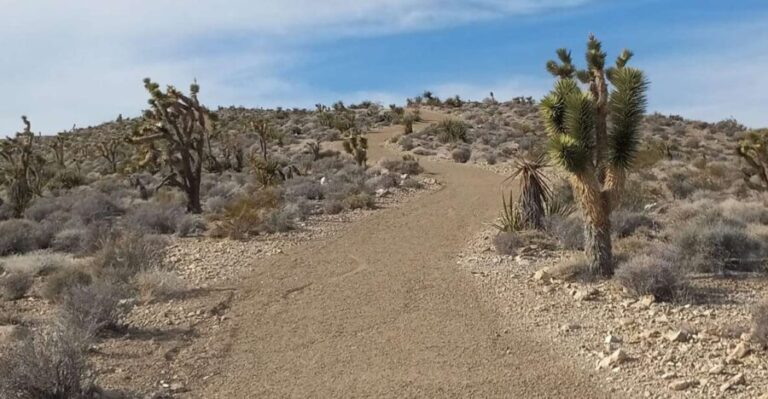 Las Vegas ATV Tours - Authentic Experience and Real Traveler Feedback