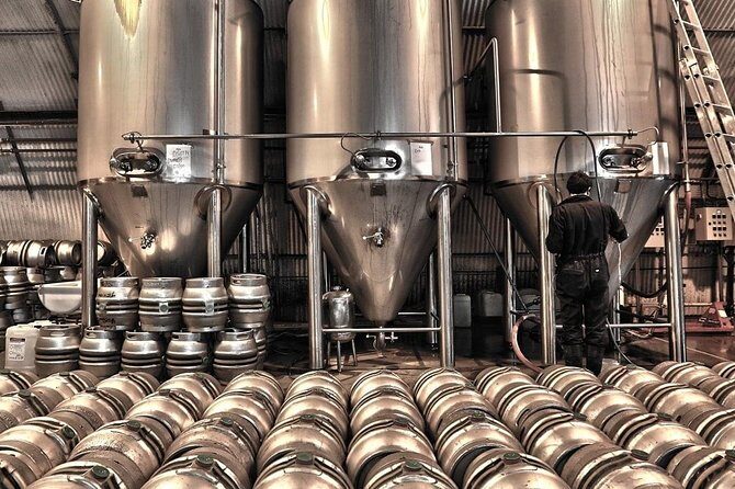 Las Vegas Brewery Tour by Party Bus w/ 3 Flights of Craft Beer - What’s Included and Practical Aspects
