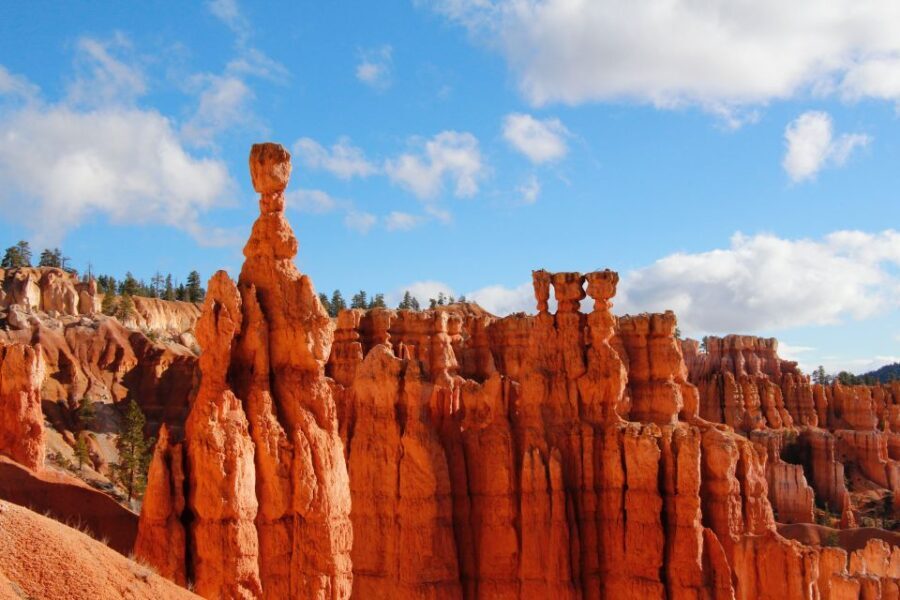 Las Vegas: Bryce and Zion National Parks Tour with Lunch - Transportation and Comfort