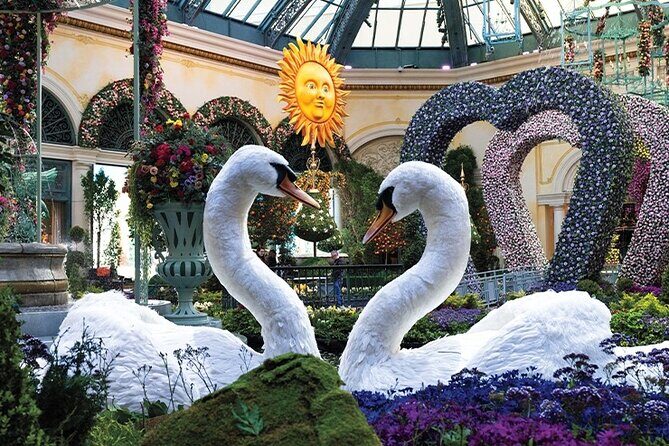 Las Vegas City Tour Street Experience - Practical Aspects and What You Can Expect