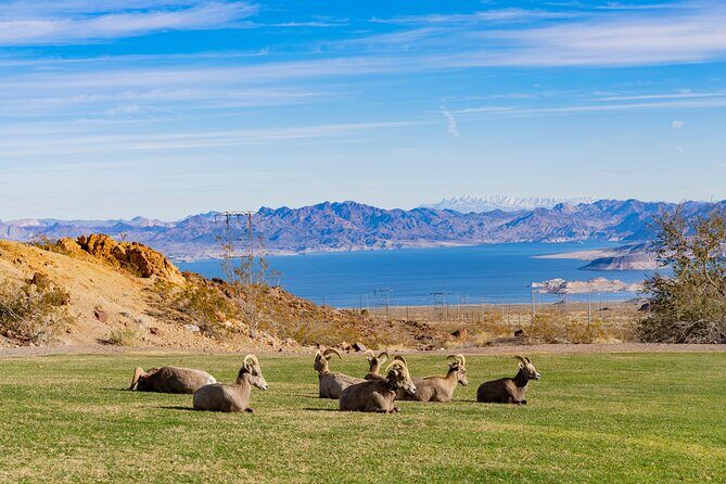 Las Vegas Day Trips: 3-Day Self-Guided Audio Tour - Why This Tour Works for Travelers