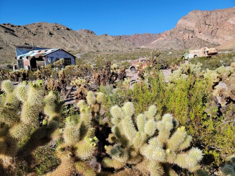 Las Vegas Eldorado Canyon & Nelson Ghost Town Adventure Tour - Authentic Experiences and Honest Feedback