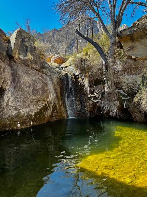 Las Vegas: Family Friendly Guided Hike to Emerald Falls - Is It Worth the Price?