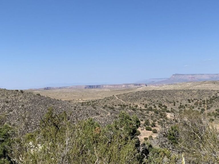 Las Vegas: Grand Canyon Helicopter West Rim Flight & Options - What the Reviews Say