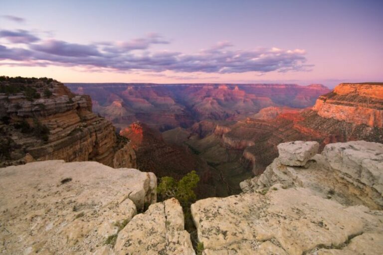 Las Vegas: Grand Canyon National Park Day Tour - Analyzing the Value