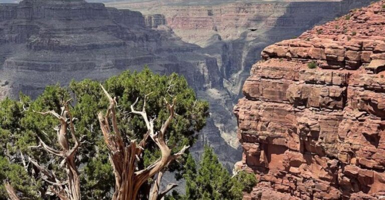 Las Vegas: Grand Canyon West, Hoover Dam & Optional Skywalk - Authentic Experiences and Real Reviews