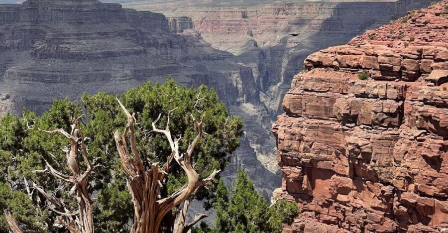 Las Vegas: Grand Canyon West, Hoover Dam & Optional Skywalk - Authentic Experiences and Real Reviews