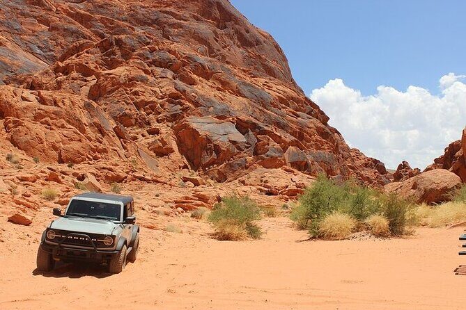 Las Vegas Guided Off-Road Adventure to Callville Wash - The Vehicles: More Than Just Transportation