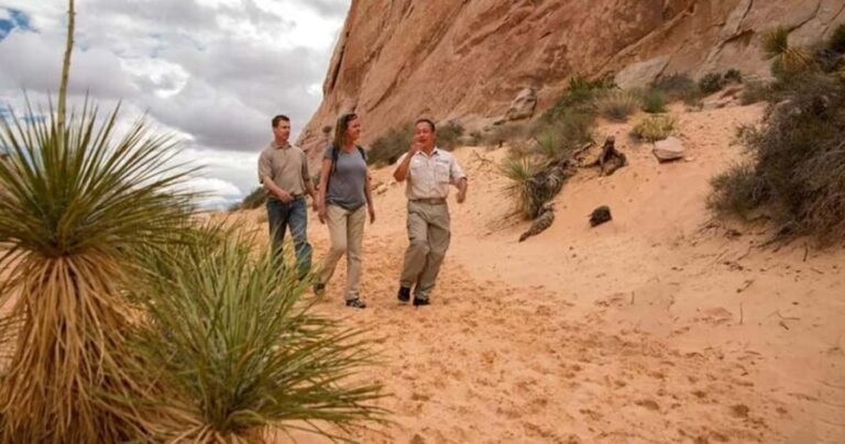 Las Vegas: Hoover Dam and Valley of Fire Combo Tour - The Sum Up