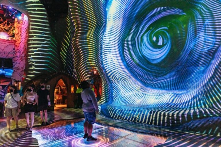 Las Vegas: Meow Wolf - Omega Mart VIP Ticket - The VIP Experience: What’s Included and Why It Matters
