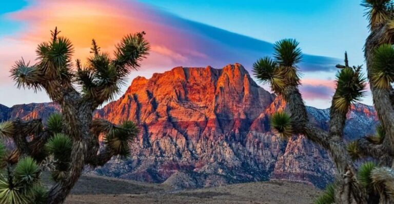Las Vegas: Private Red Rock Canyon Guided Driving Adventure - The Value Proposition