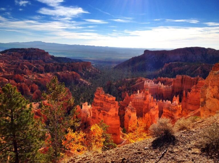Las Vegas: Southwest USA National Parks 11-Day Trip to SF - What Sets This Tour Apart?