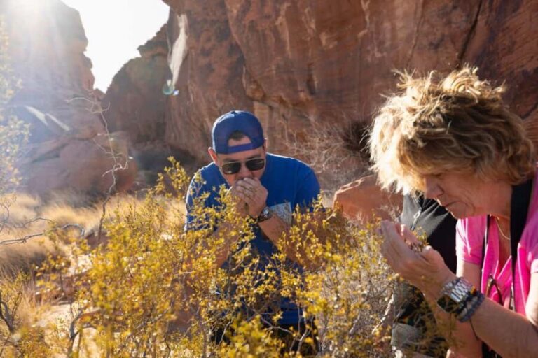 Las Vegas: Valley of Fire and Red Rock Canyon Day Trip - What Travelers Say