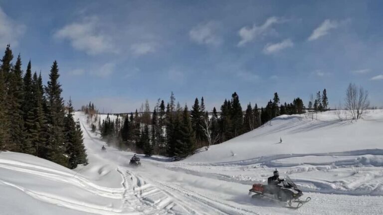 L'Ascension: Snowmobiling Upper Laurentians 2hrs - A Closer Look at the Snowmobiling Experience