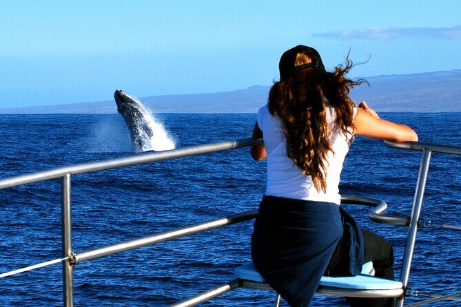 Late Morning Whale Watch Cruise from A'bay - Practical Considerations