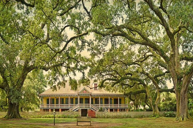 Laura Plantation Tour with Transportation - The Laura Plantation: Heart of the Day