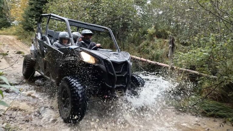 Laurentians: guided buggy tour - Whats Included and What to Budget For