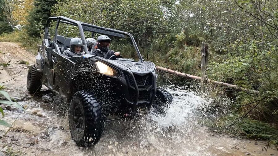 Laurentians: guided buggy tour - Whats Included and What to Budget For