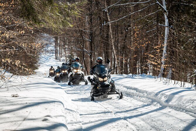 Laurentians: Guided excursion by snowmobile - What to Expect: A Closer Look at the Snowmobile Experience