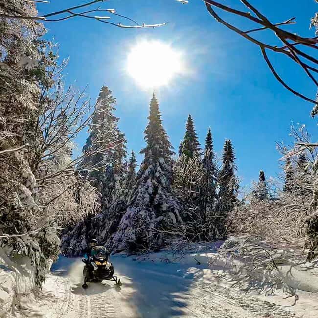 Laurentians: Snowmobile Guided Tour - Price and Value: Is it worth the cost?
