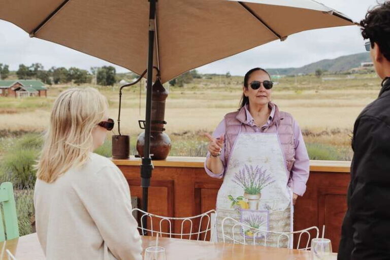 Lavender Experience Valle de Guadalupe - Guided Field Tour - A Detailed Look at the Lavender Experience Valle de Guadalupe