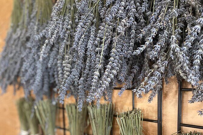 Lavender Farm Experience with Local Lunch, Day Trip from Toronto - Detailed Breakdown of the Itinerary