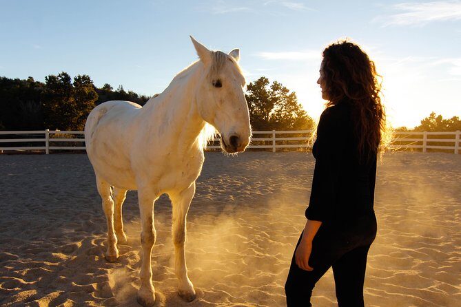 Leadership & Mindfulness Retreat with Horses - Individual & Group - What Makes This Experience Stand Out