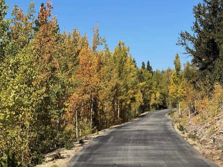 Leadville: 2-Hour Guided E-Bike Tour - What Travelers Are Saying
