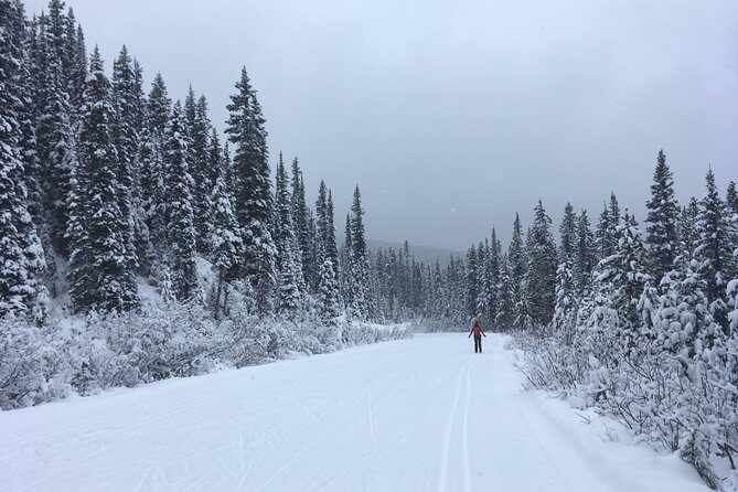 Learn to Cross Country Ski in Lake Louise - The Scenic Value of Lake Louise